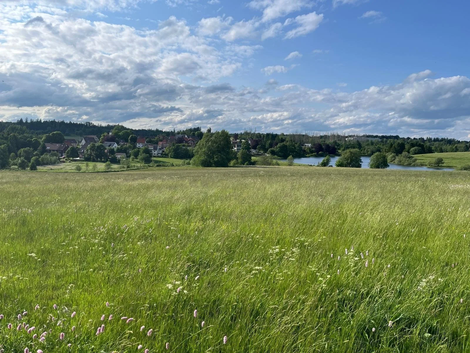 Ferienwohnung am Sumpfteich