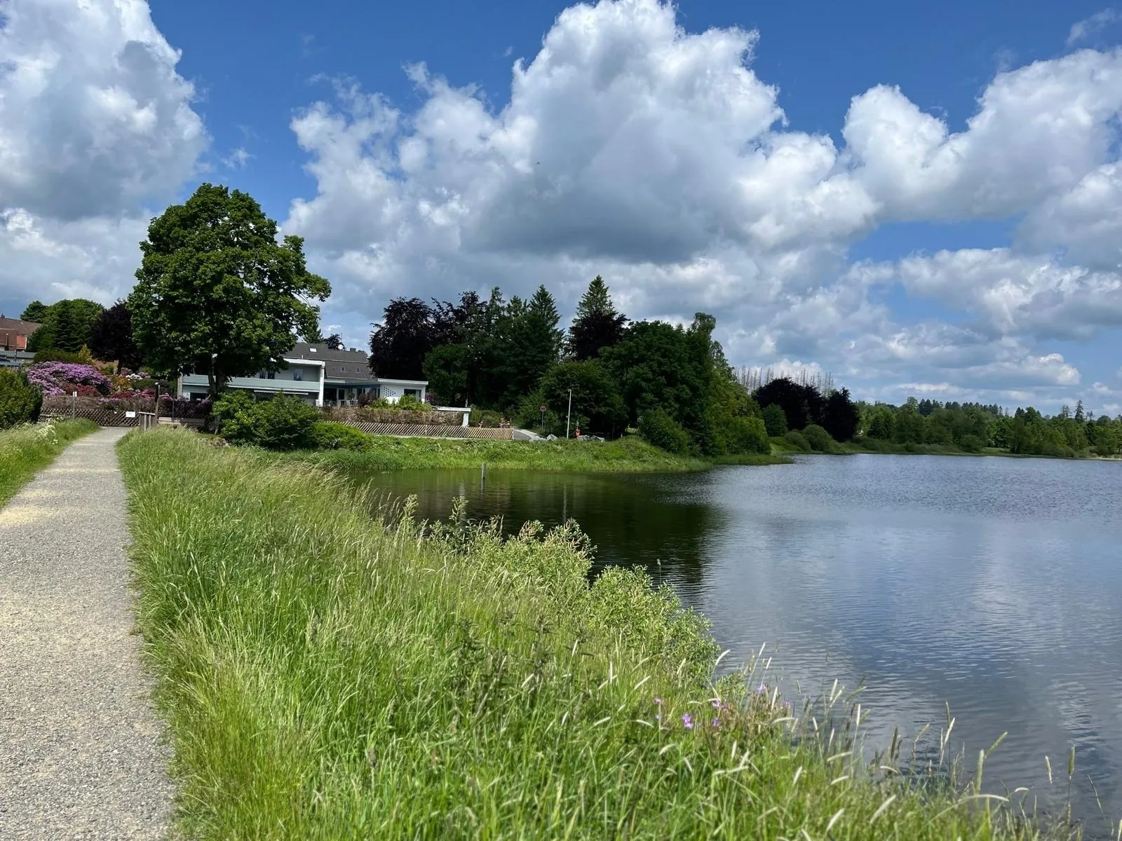 Ferienwohnung am Sumpfteich