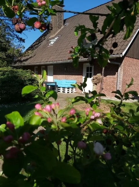 Appartement Jork an der Elbe im Alten Land - Nähe HH
