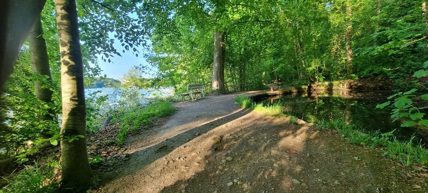 Ferienwohnung Kalina am Dieksee Malente