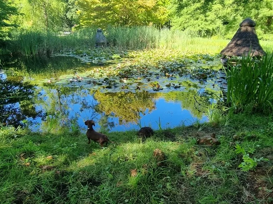 Ferienwohnung Kalina am Dieksee Malente