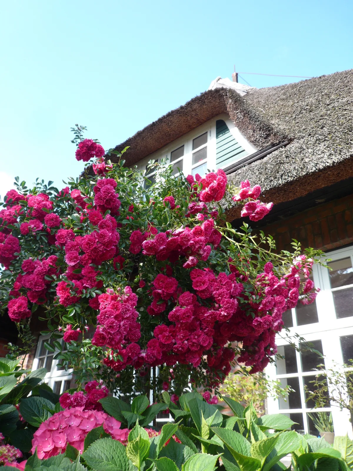 Landhaus-Marwede App.6