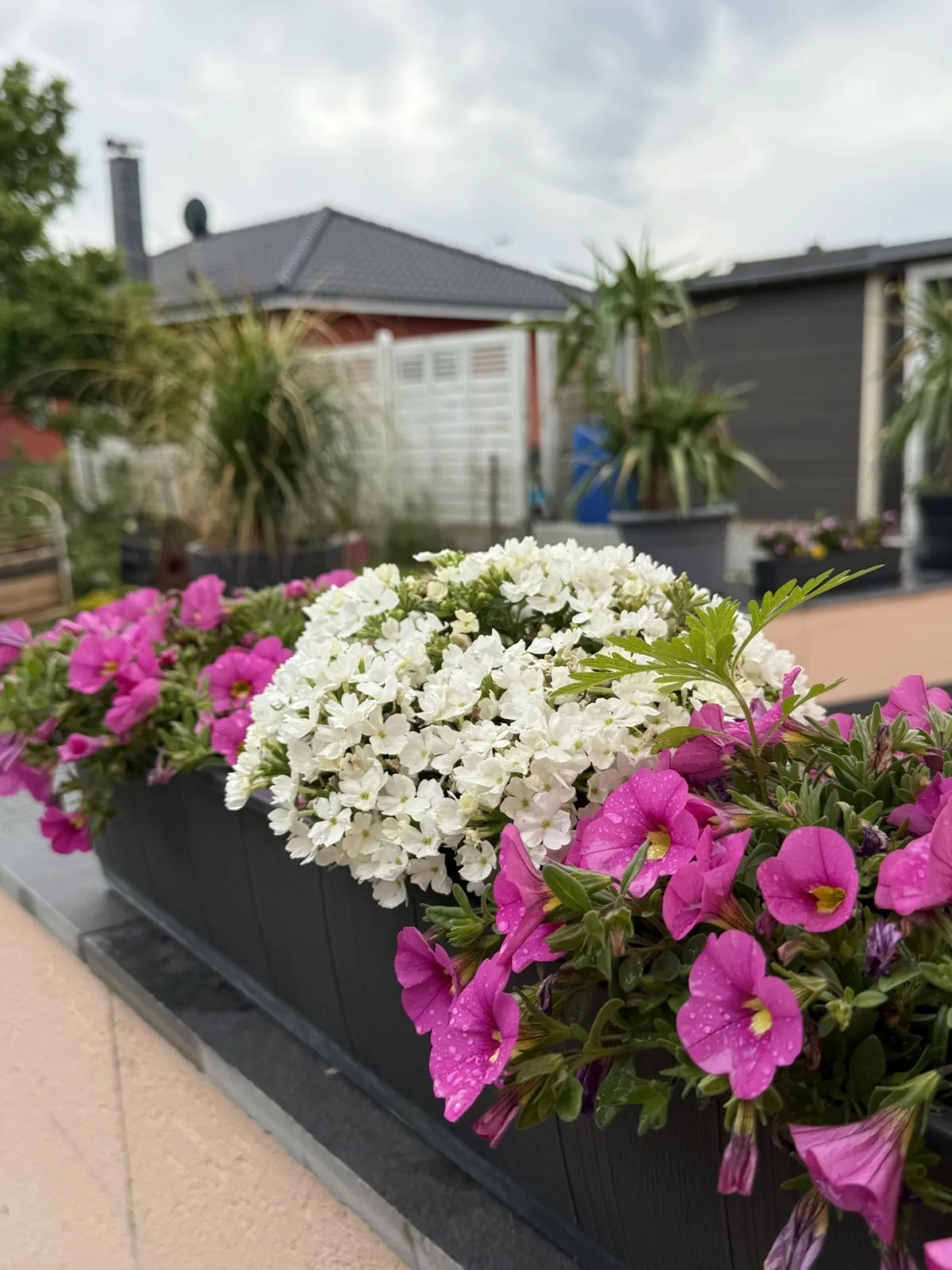 Kleine Idylle