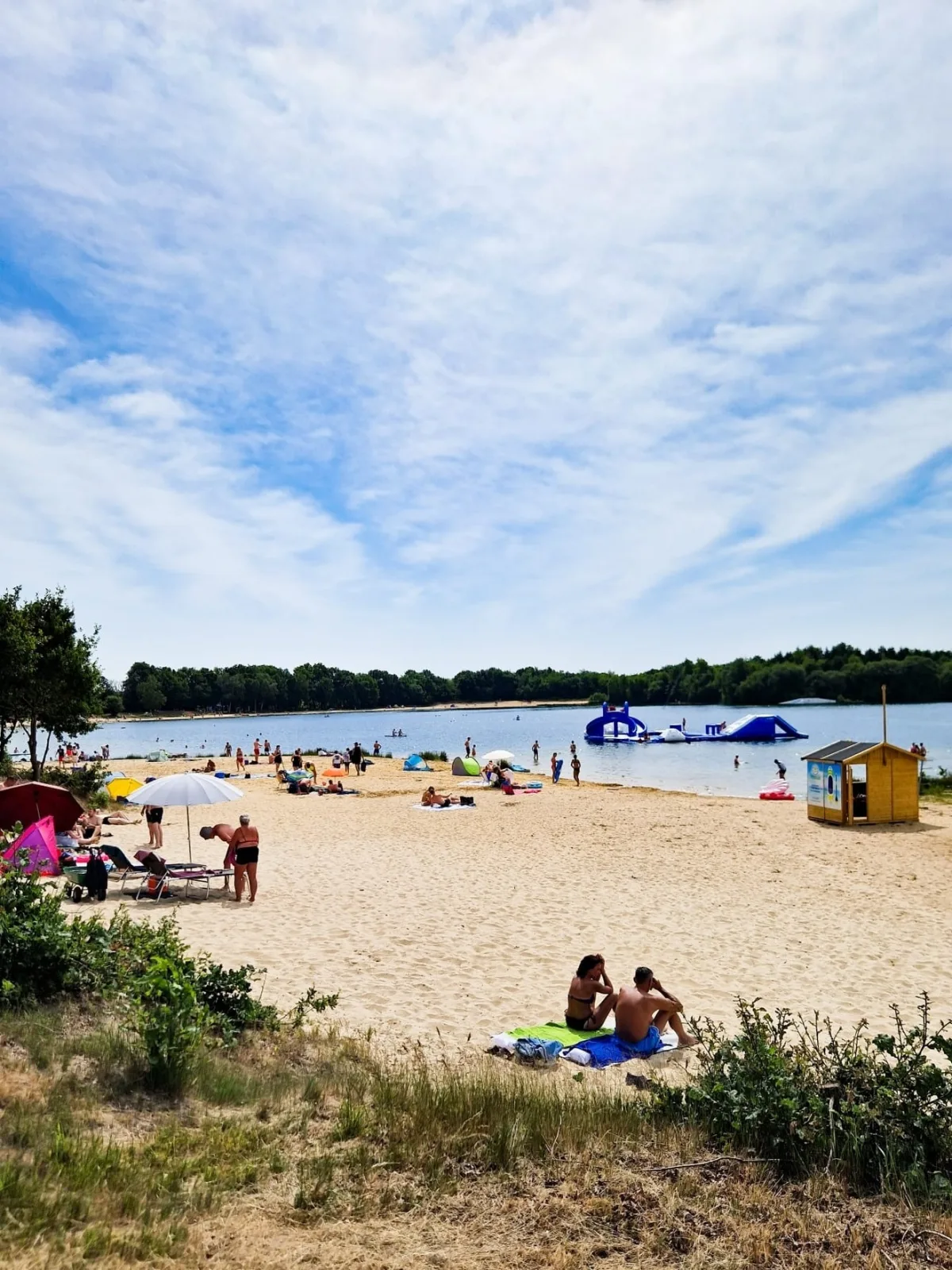 Eulennest Emsland