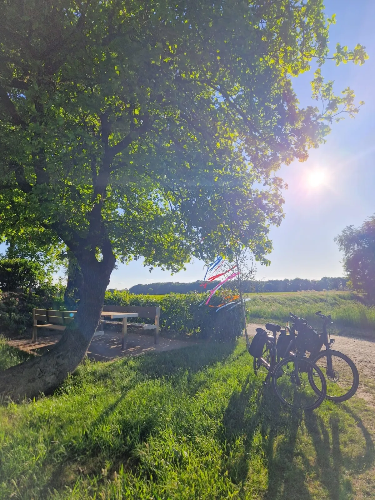 Eulennest Emsland