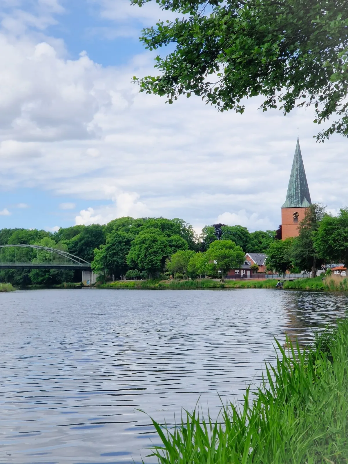 Eulennest Emsland