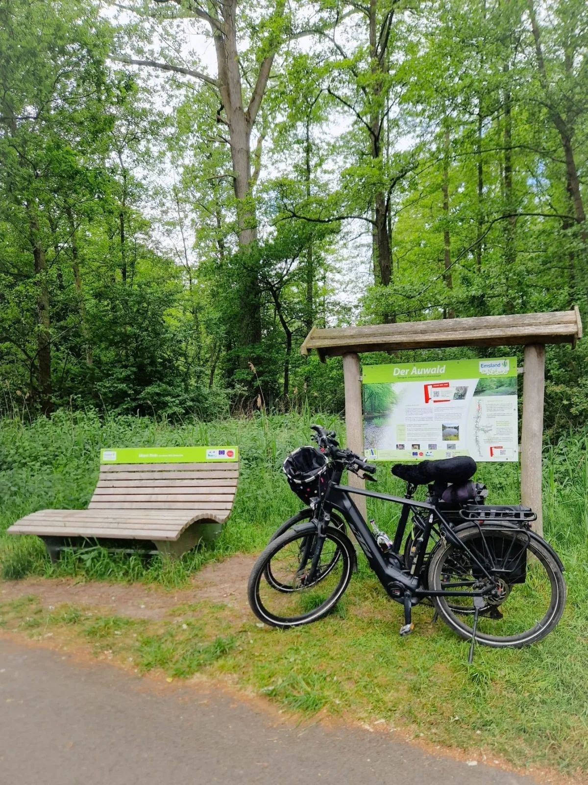 Eulennest Emsland