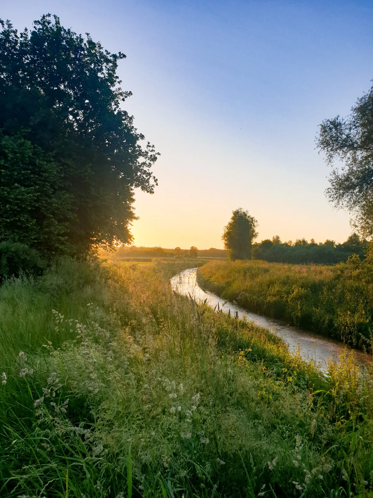 Eulennest Emsland