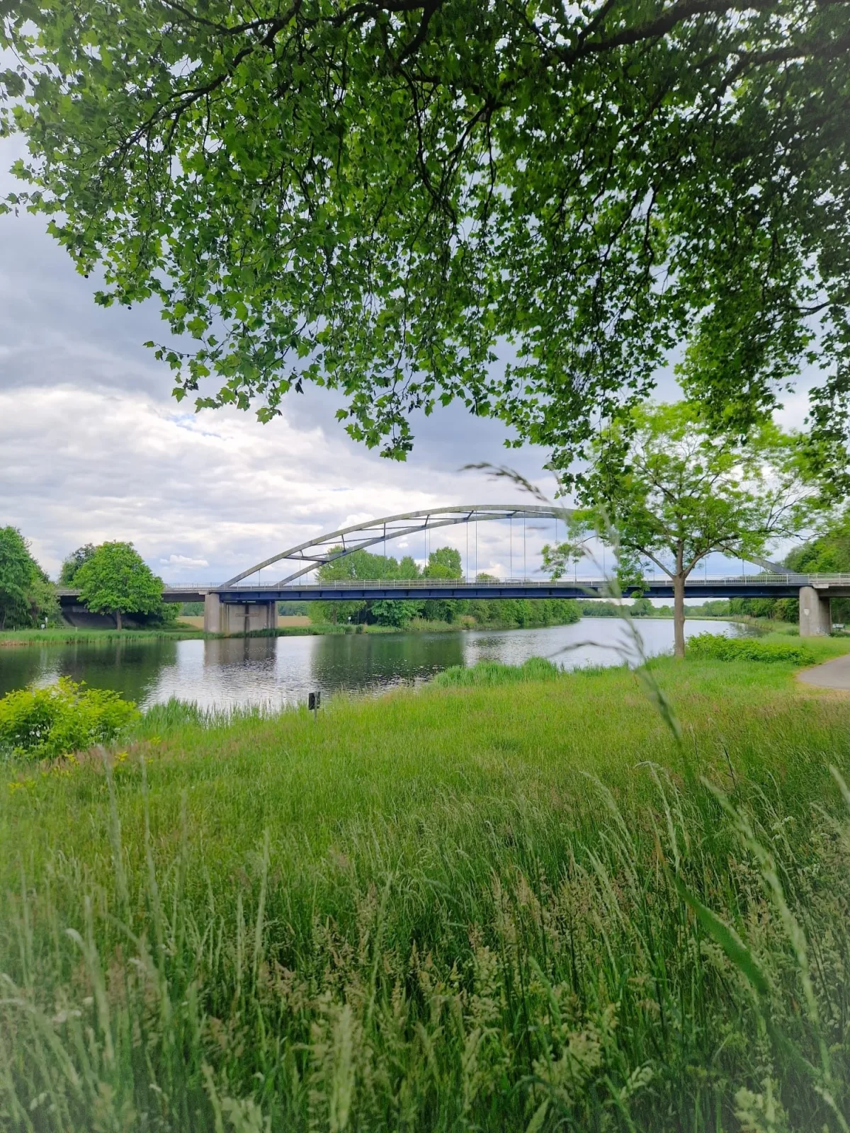 Eulennest Emsland