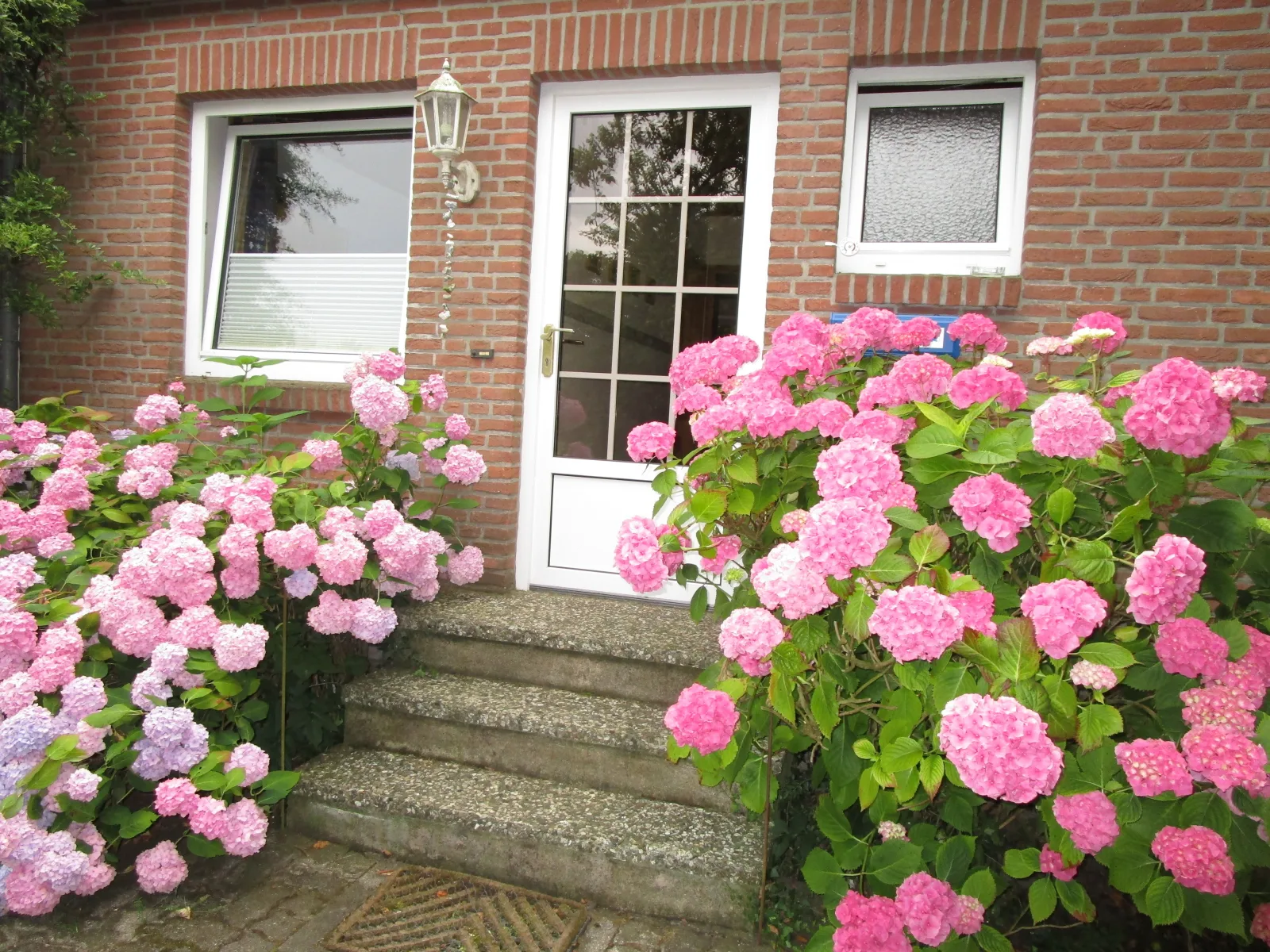 Haus "Am Apfelbaum" Wohnung 4