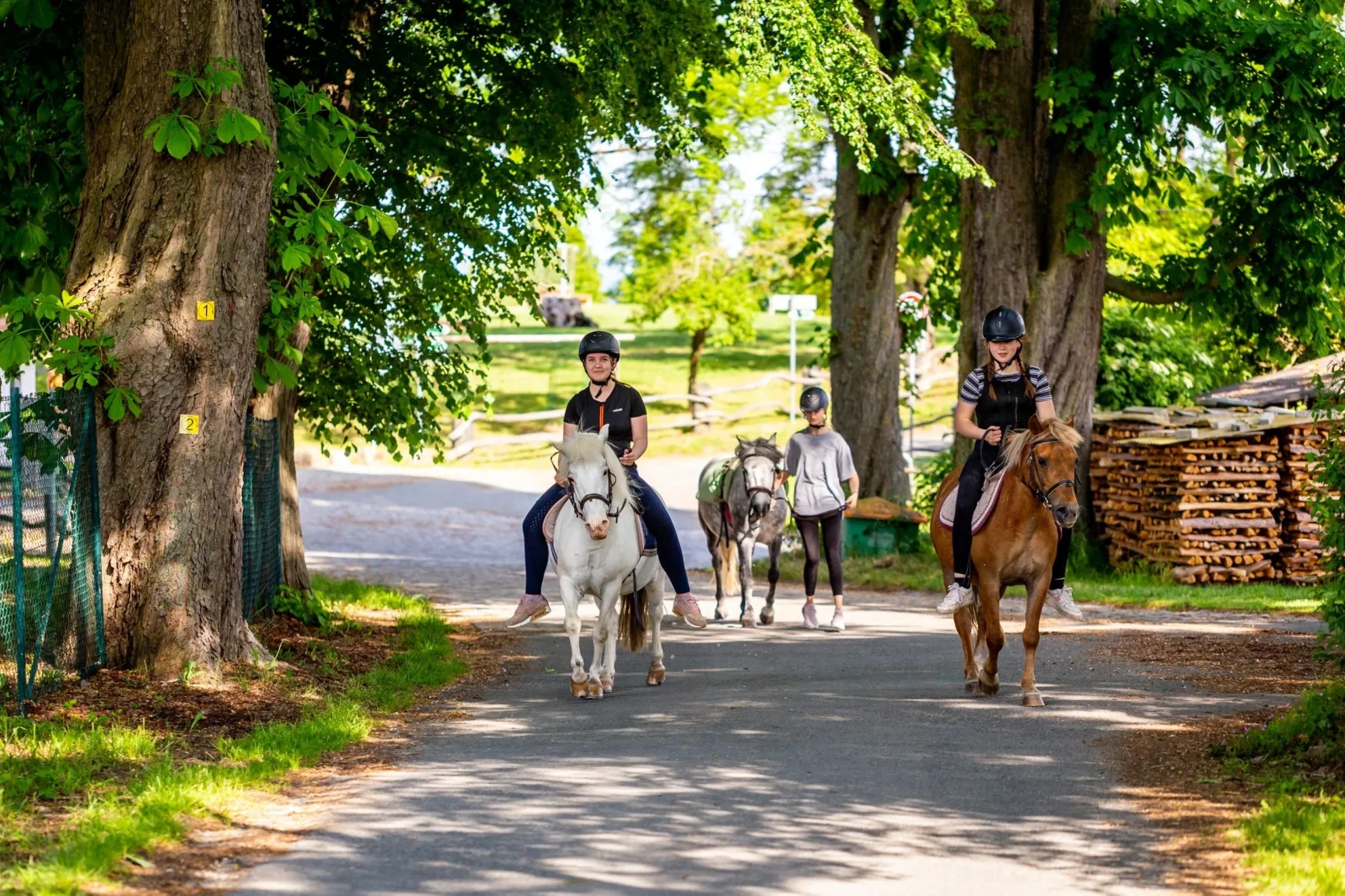 Ferienhof Domäne Groschwitz - Fewo 15 in der Alten Mühle