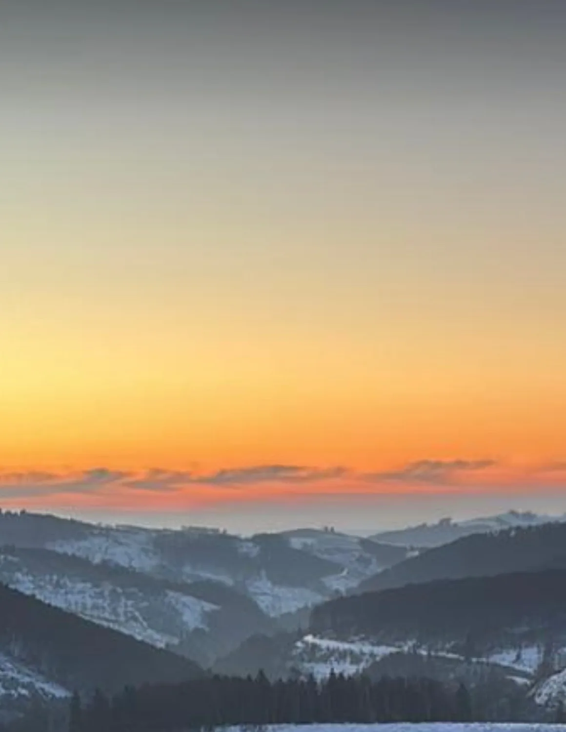 Rodelblick Kahlenberg