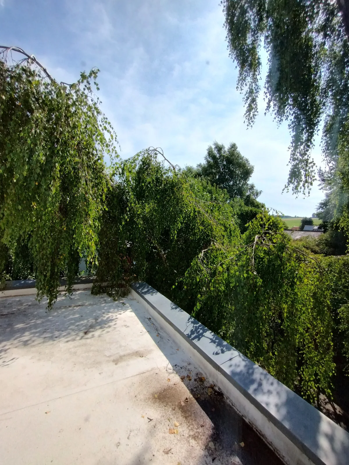 Birgeler B&B Sicher Wieder