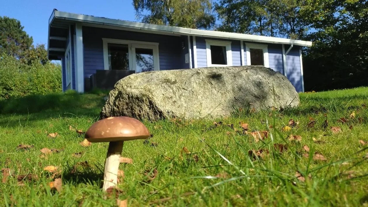 dieSeeSucht® - Lodge am Fjord