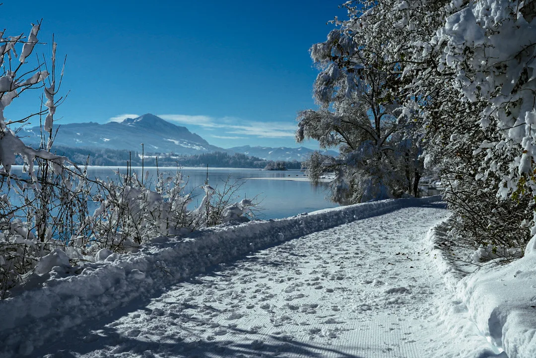NEU FeWo Rottachblick