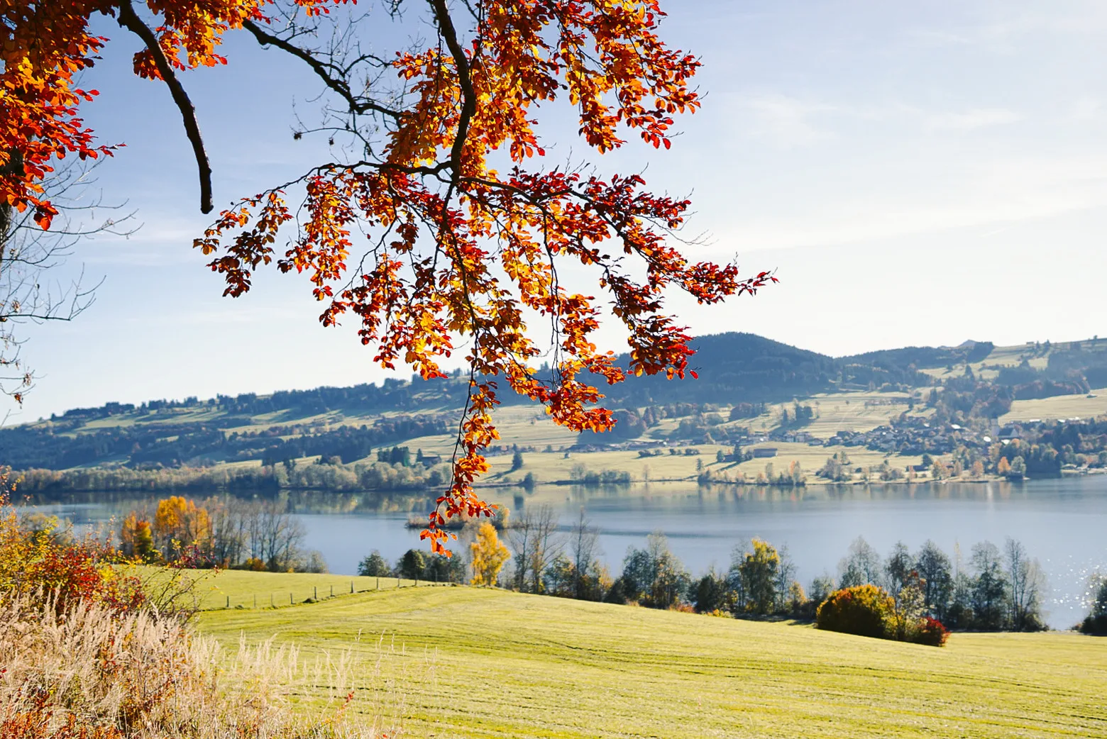 NEU FeWo Rottachblick