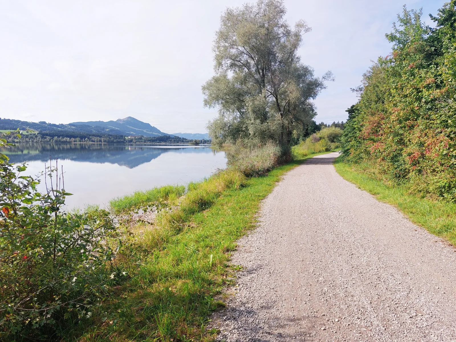 NEU FeWo Rottachblick