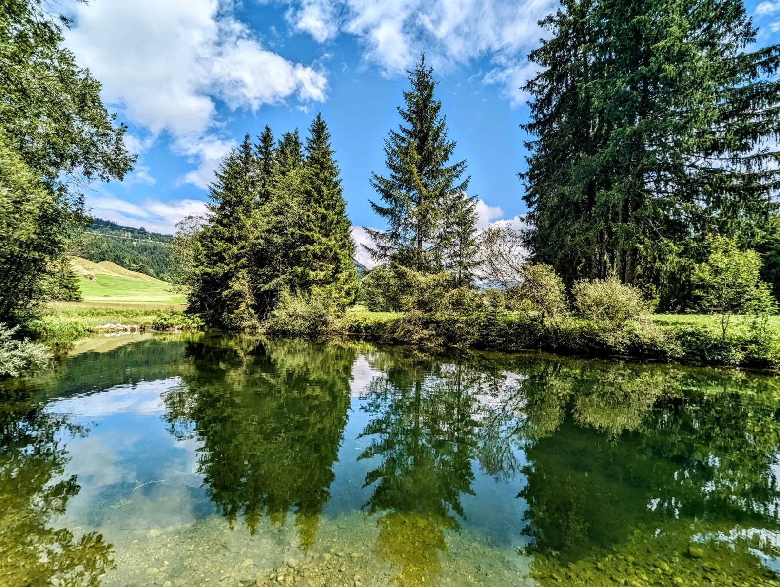 NEU FeWo Rottachblick