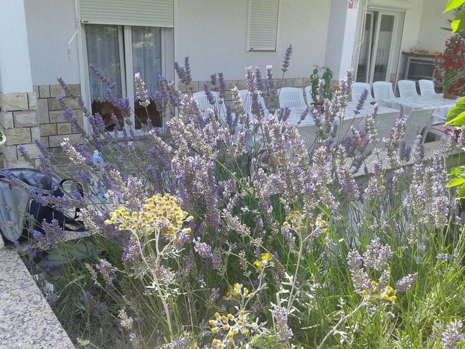 Mile Ferienhaus excellent location close to Rab