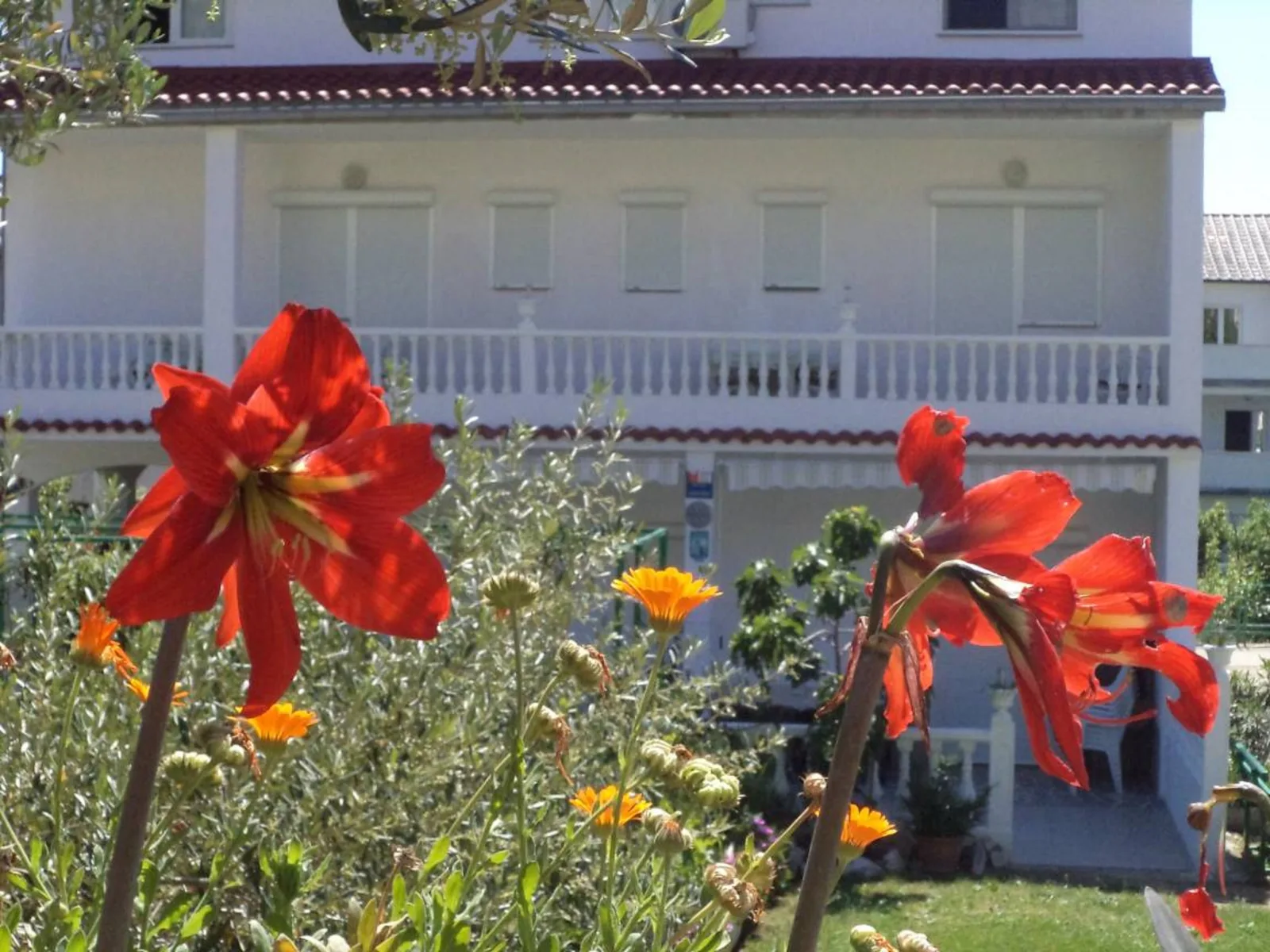 Mile Ferienhaus excellent location close to Rab