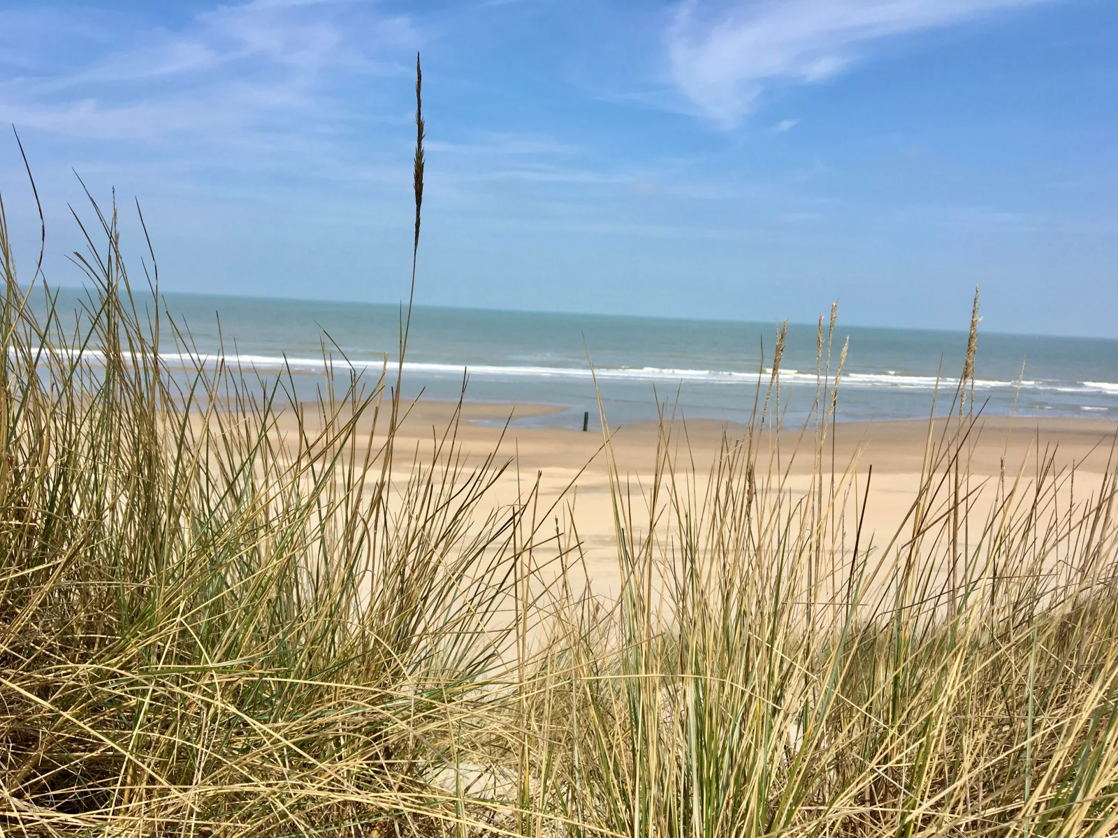 NORDSEE GLAMPING * Mobilheim / Chalet 2467