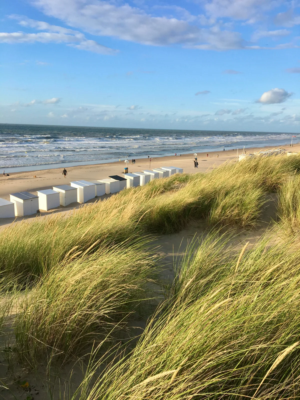 NORDSEE GLAMPING * Mobilheim / Chalet 2467