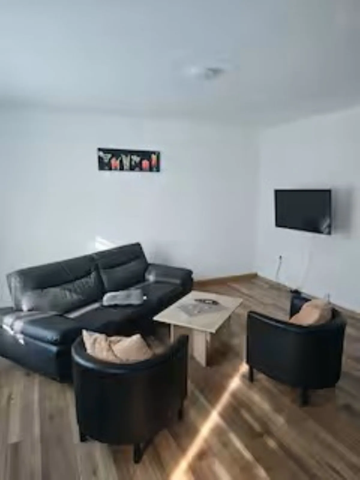 Schöne Vollausgestattete Monteurs- Gästewohnung nähe Raffinerie Leuna  und Geiseltalsee / 0305