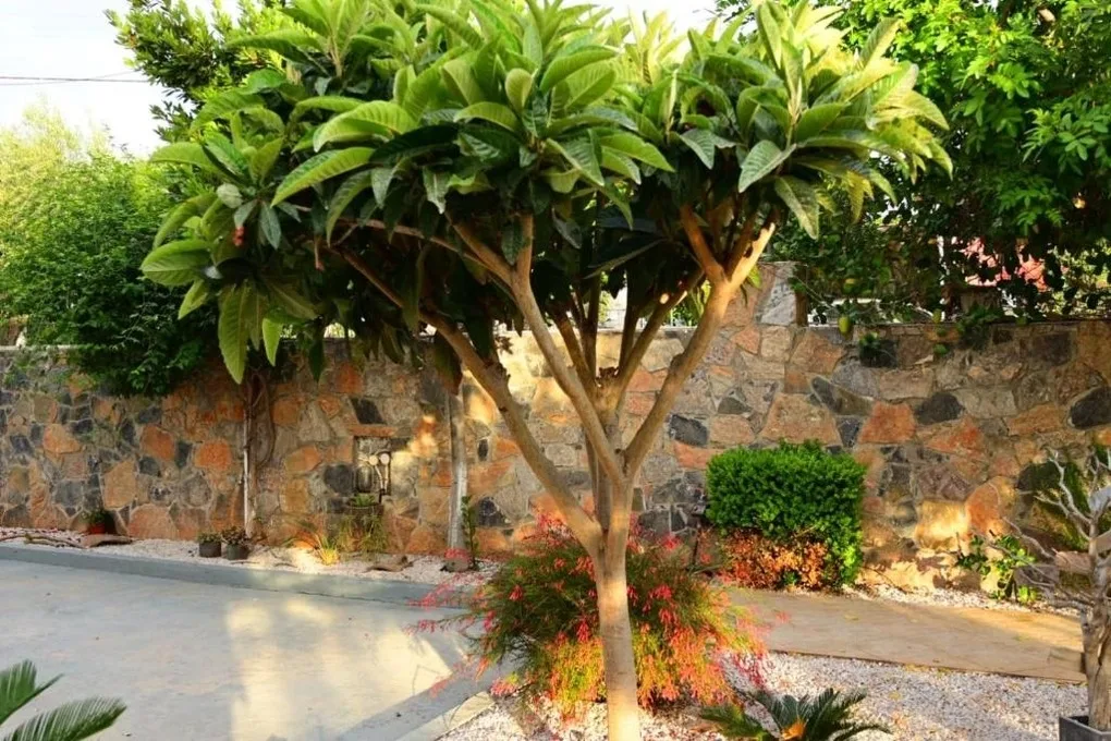 Paralia Apts Stavros Apartment 3