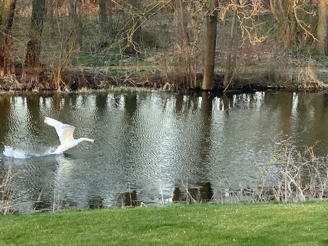 Zum Böhmen Ferienwohnung Fridericke / Ferienhaus am See - Urlaub / Ferien in Bad Langensalza
