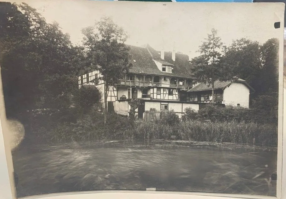 Zum Böhmen Ferienwohnung Fridericke / Ferienhaus am See - Urlaub / Ferien in Bad Langensalza