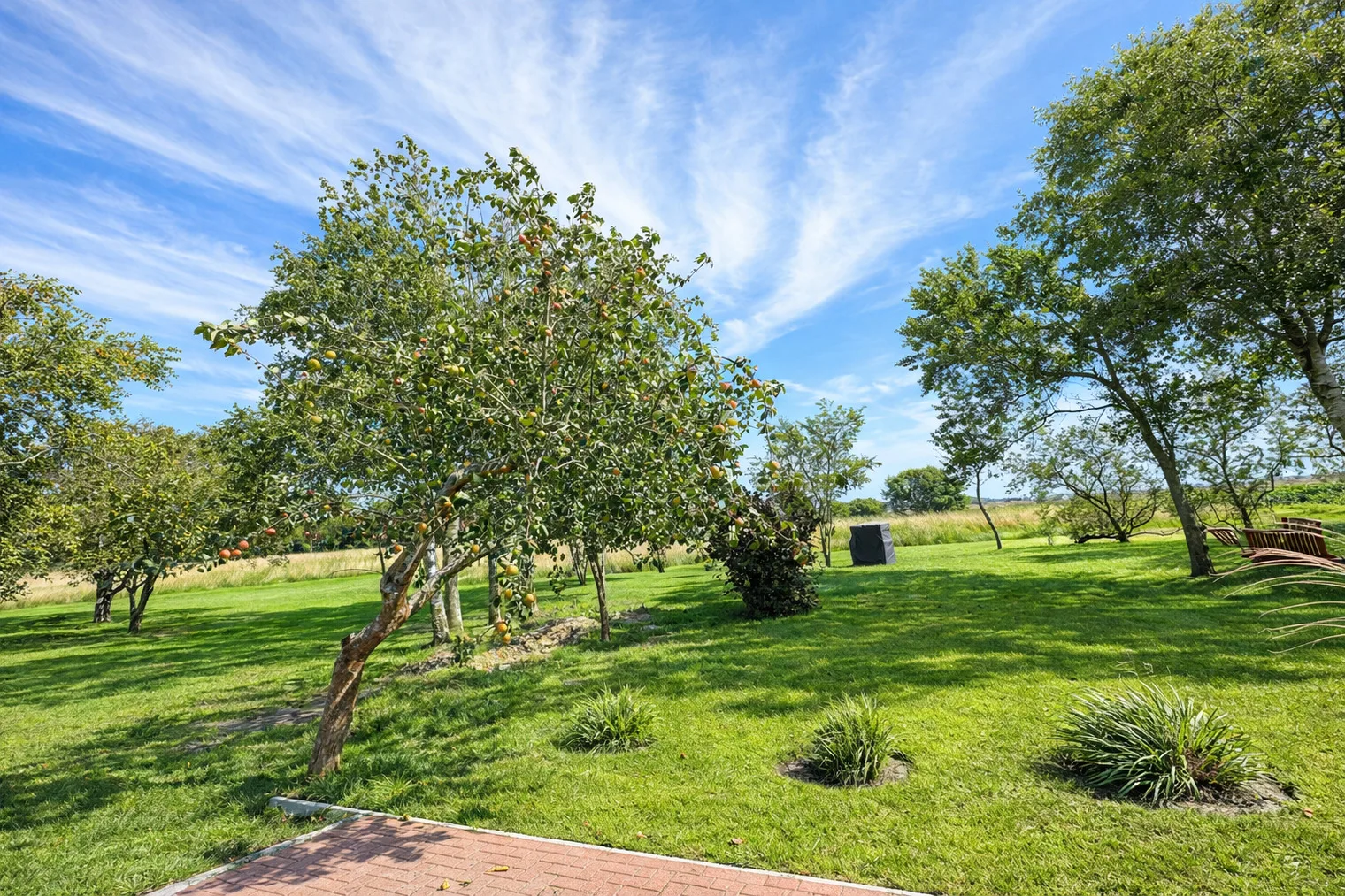 Ferienhaus"Huus an`t Diek" Luxus in Deichnähe mit Pool, Nähe Norddeich