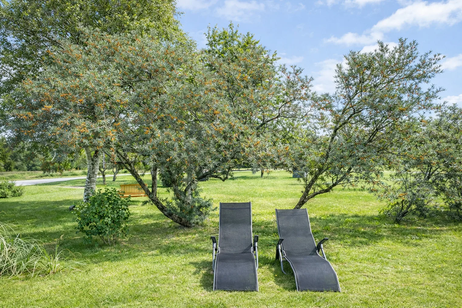 Ferienhaus"Huus an`t Diek" Luxus in Deichnähe mit Pool, Nähe Norddeich