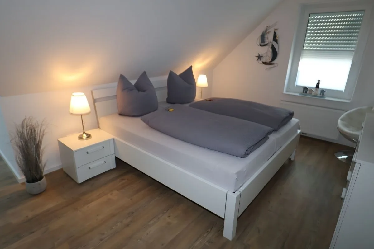 Rotbuche 1