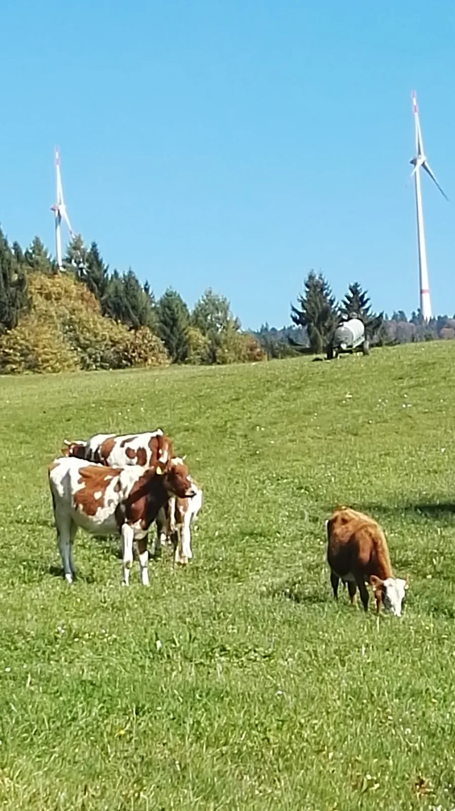 Ferienwohnung Bahr