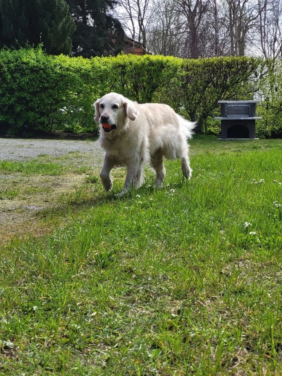 Lanckensburg Fewo1 - Doris