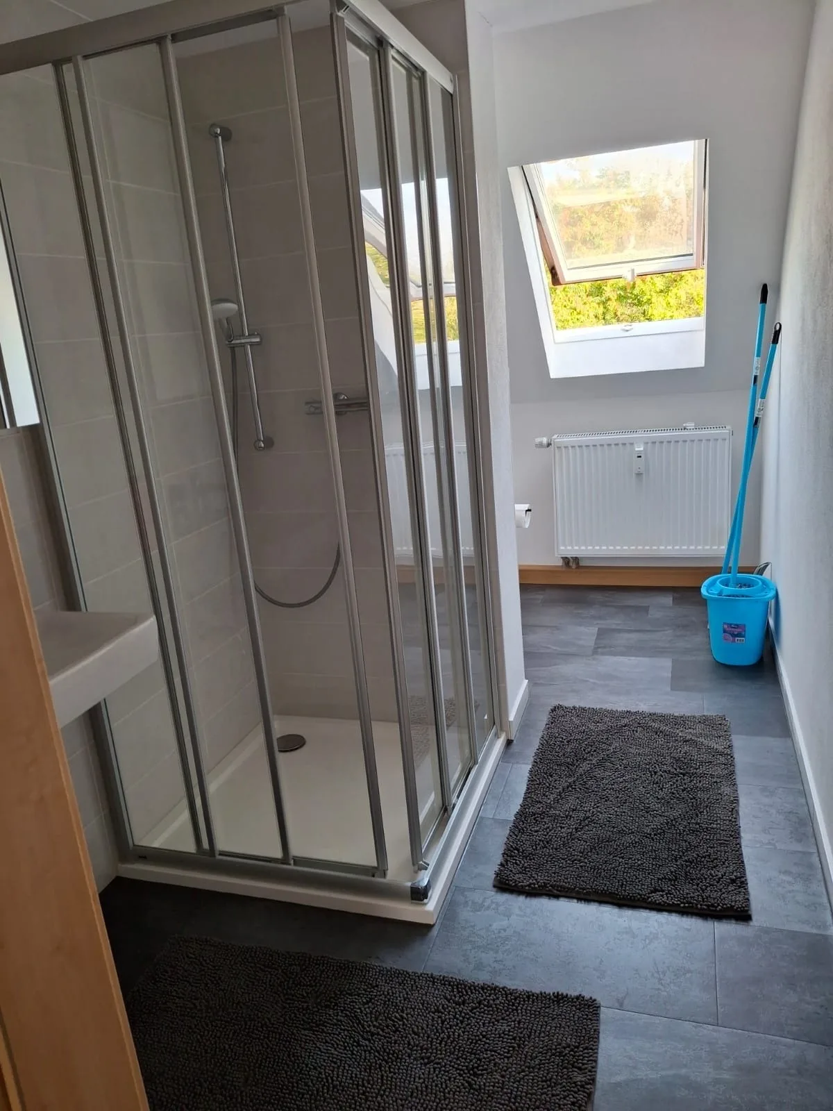 Schöne Vollausgestattete Monteurs- Gästewohnung nähe Raffinerie Leuna und Geiseltalsee / 0307