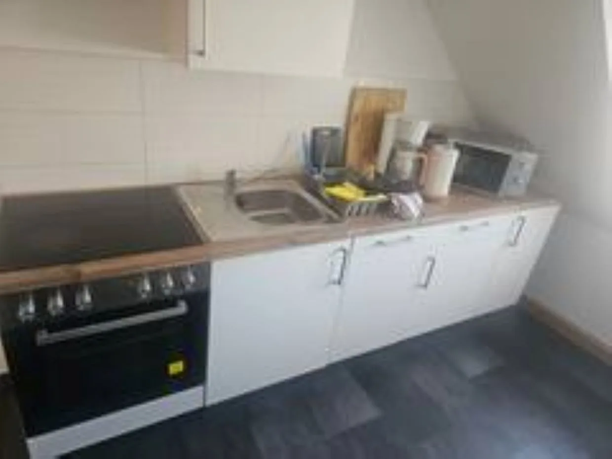 Schöne Vollausgestattete Monteurs- Gästewohnung nähe Raffinerie Leuna und Geiseltalsee / 0308