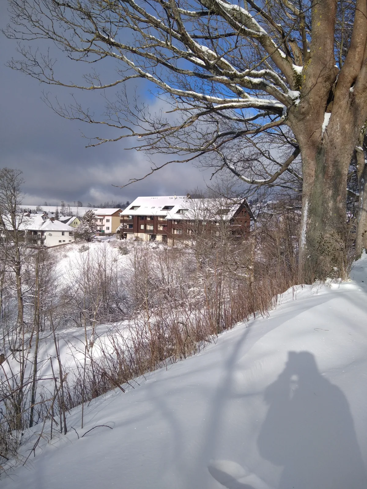 Ferienwohnung am Glockenberg | Sankt Andreasberg | Harz