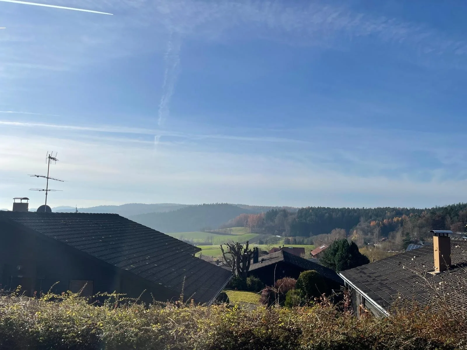 Waldmarie