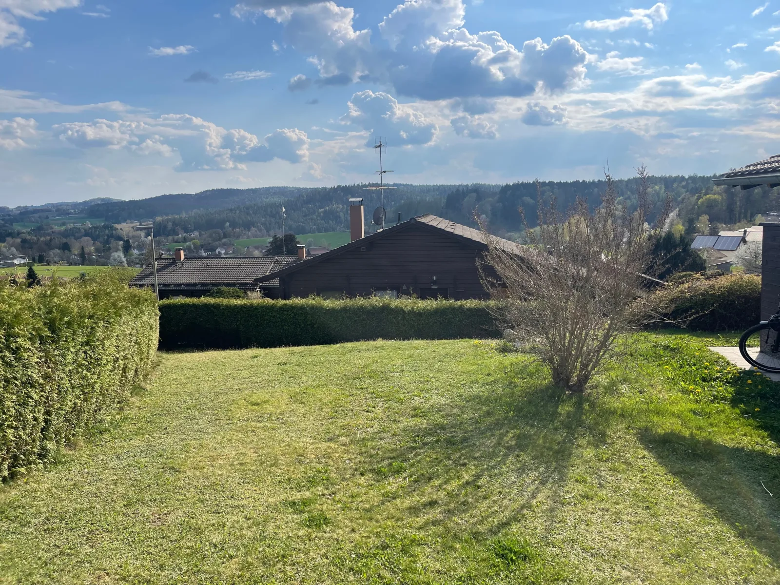 Waldmarie