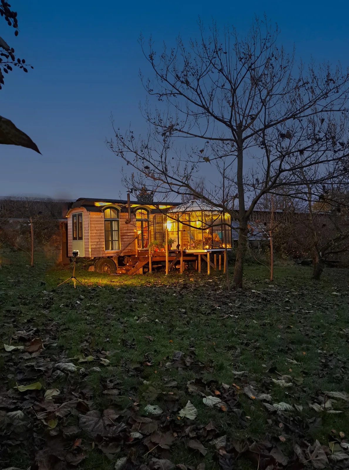 Tiny Haus - Sternenblick - Sauna