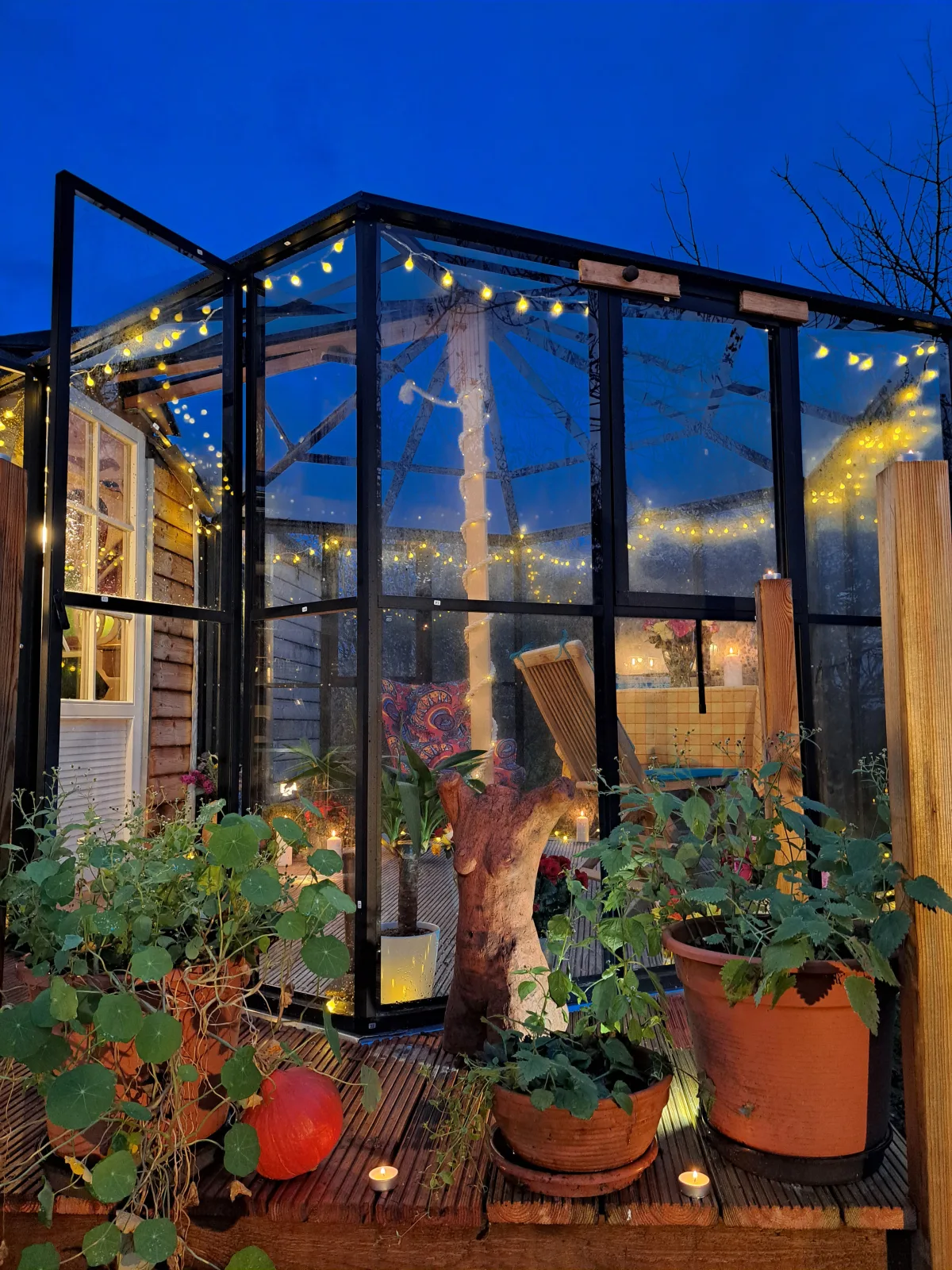 Tiny Haus - Sternenblick - Sauna