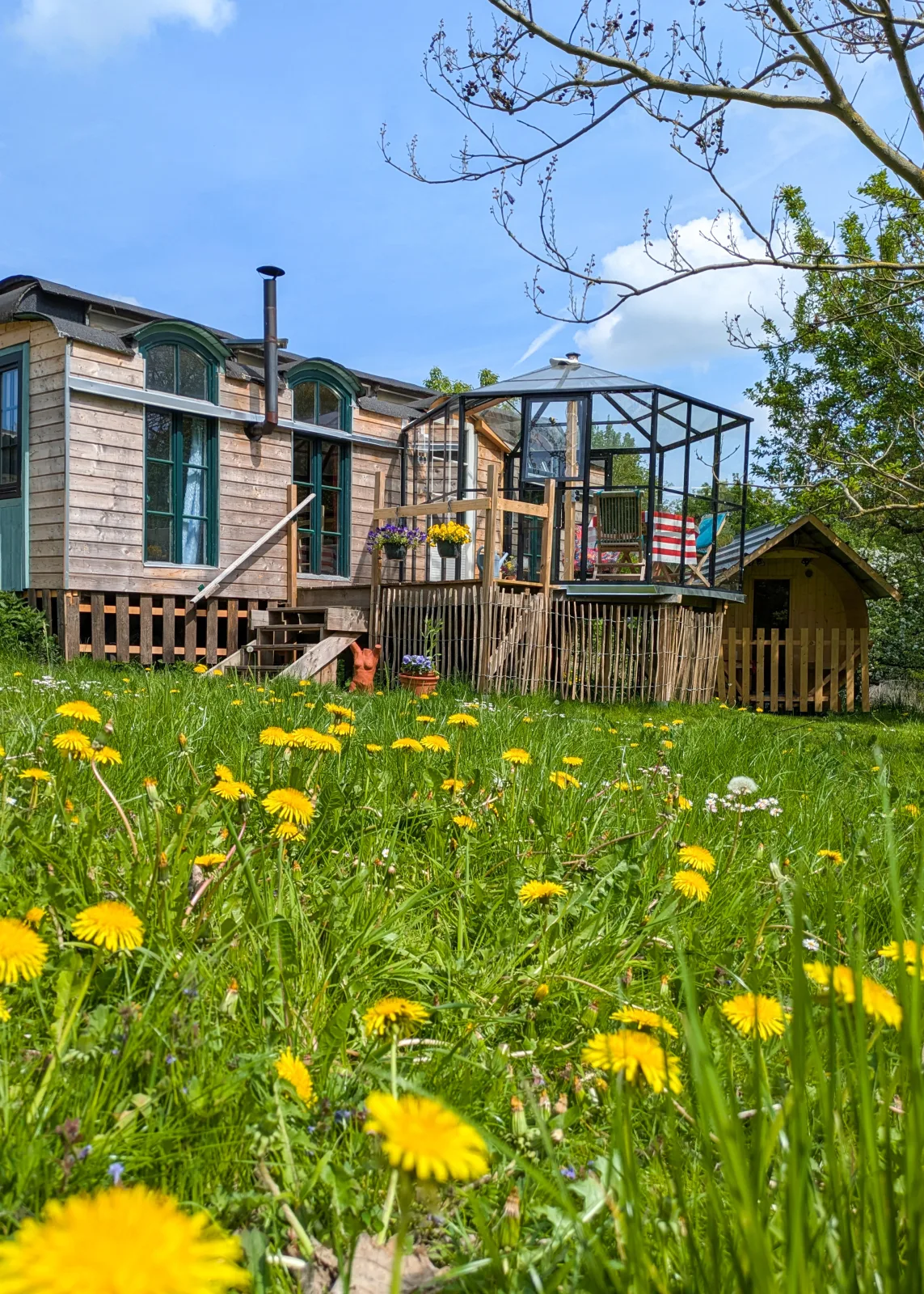 Tiny Haus - Sternenblick - Sauna