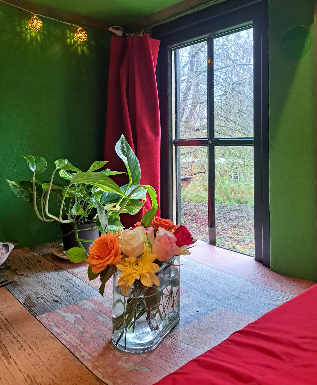 Tiny Haus - Sternenblick - Sauna