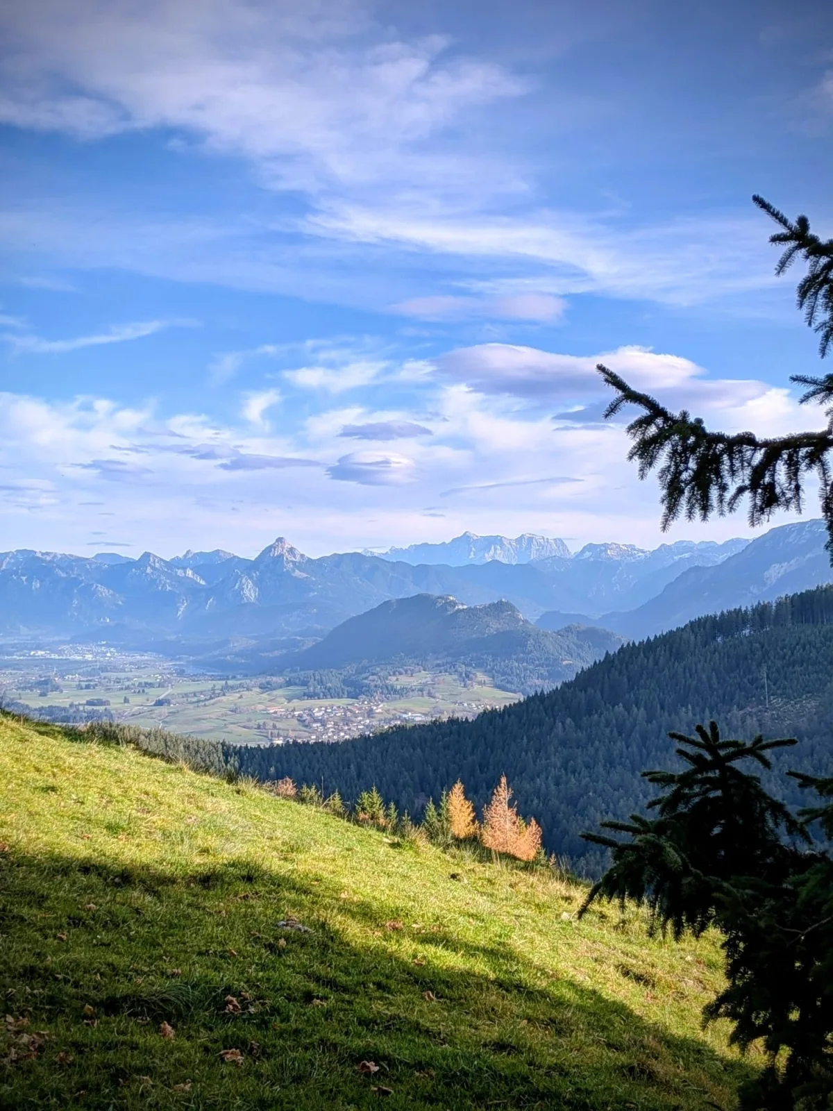 Leas Alpennest