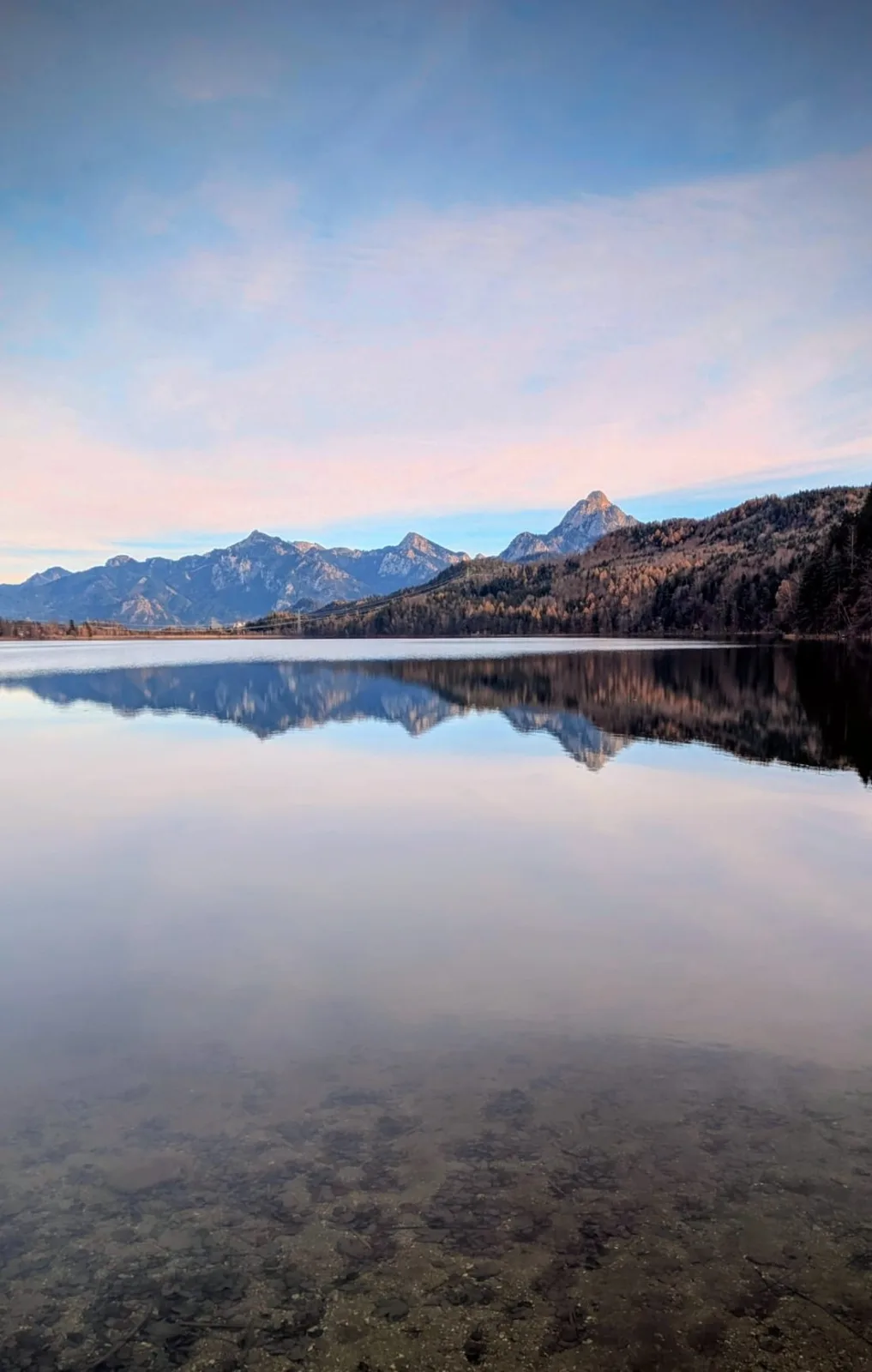 Leas Alpennest