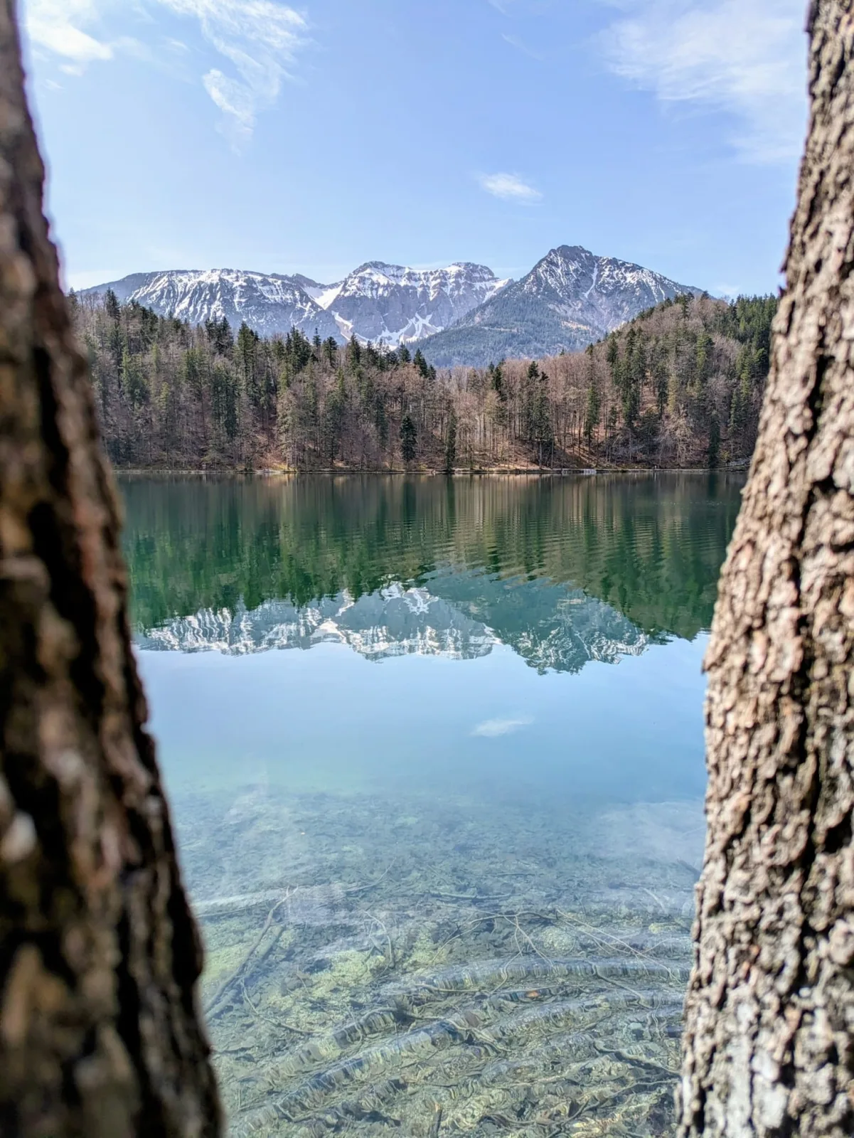 Leas Alpennest