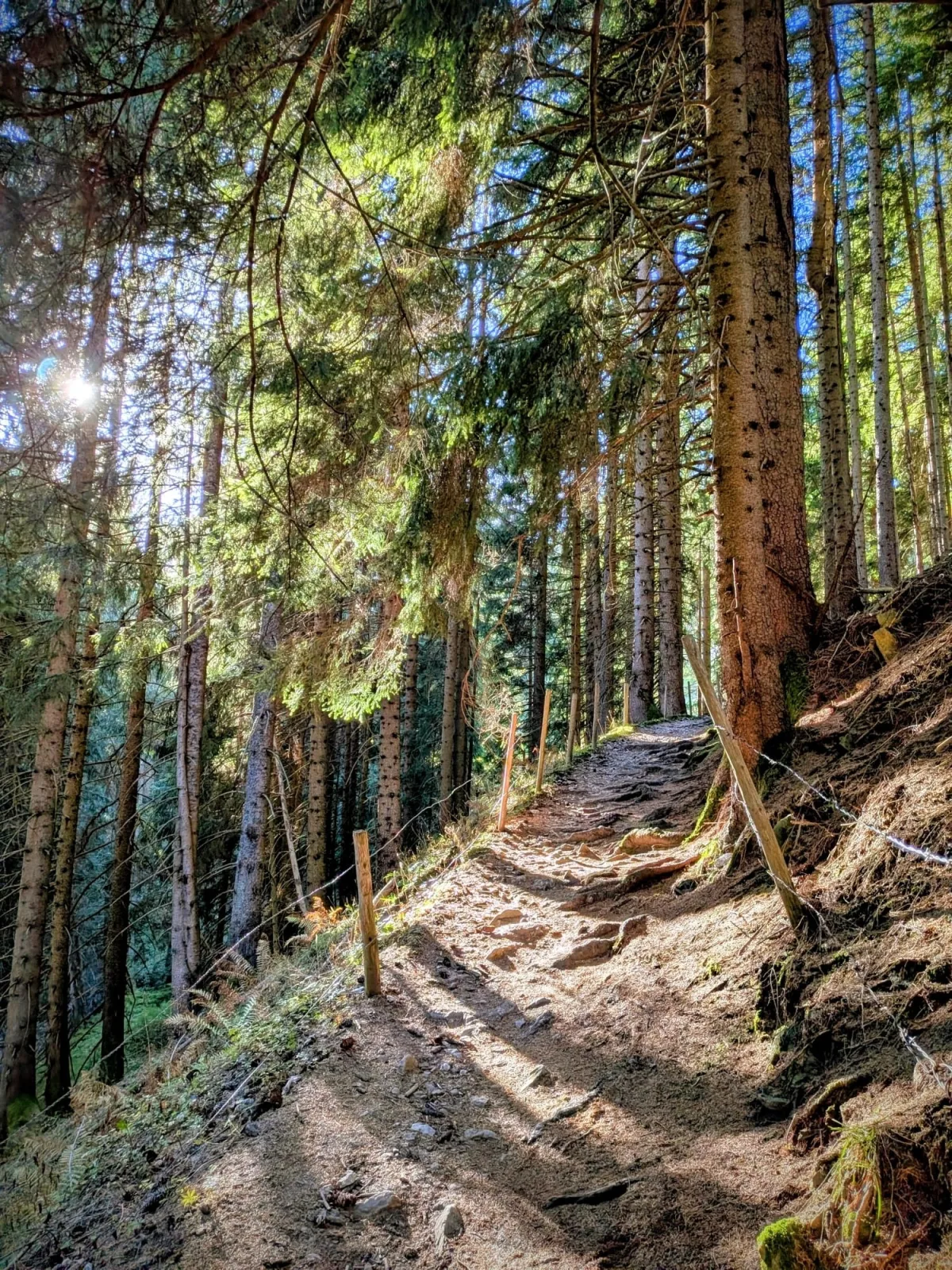 Leas Alpennest
