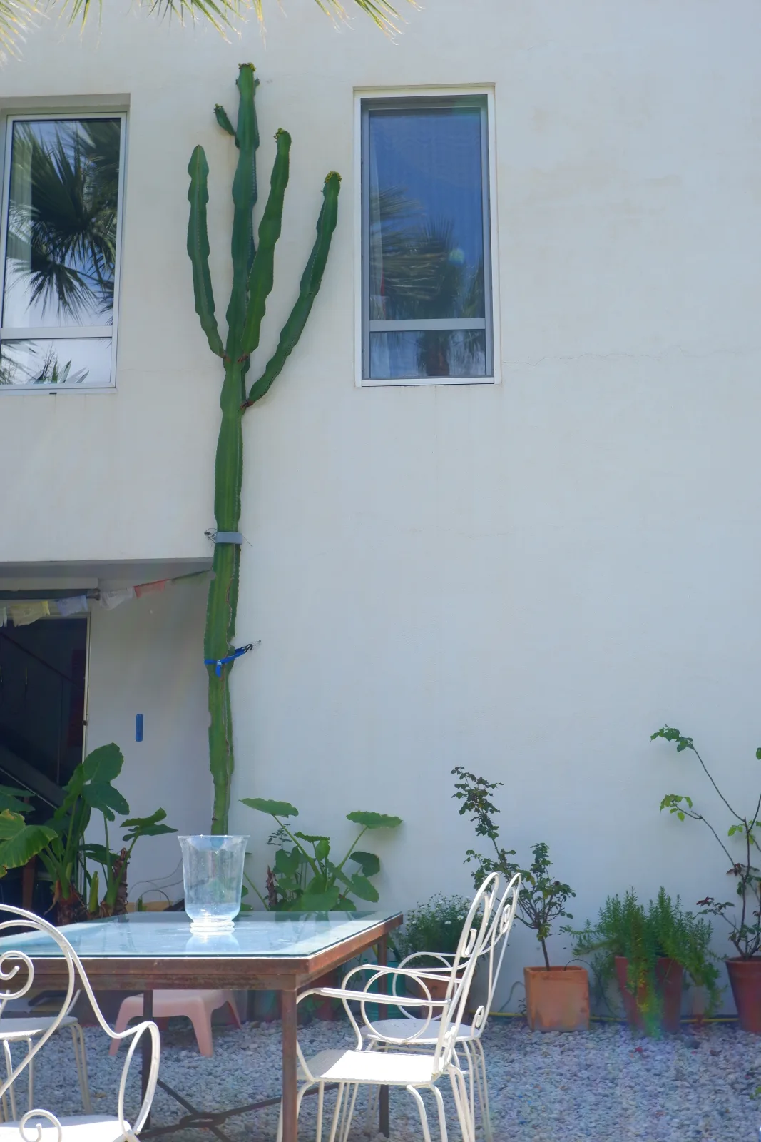 Casa Mexicana