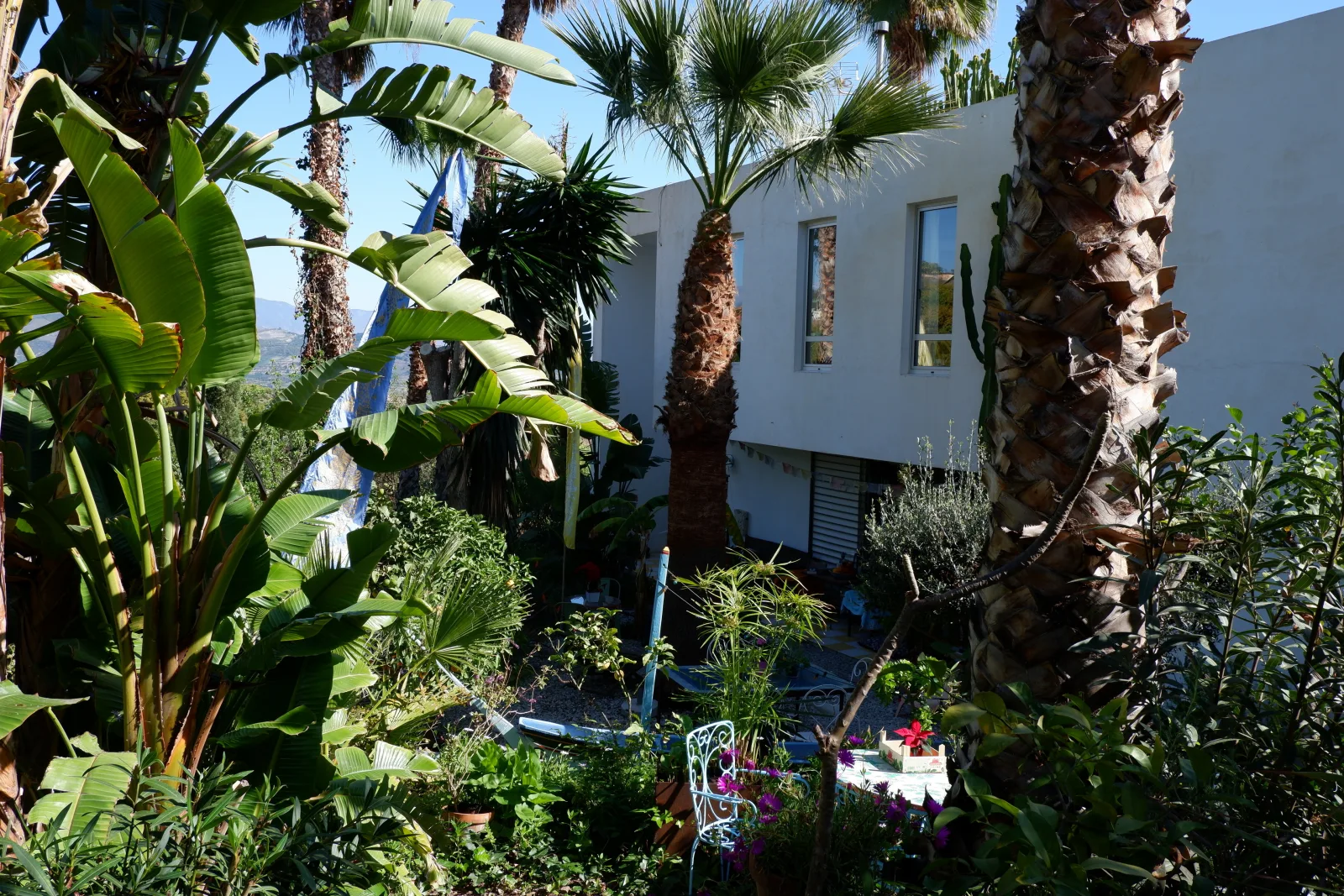 Casa Mexicana